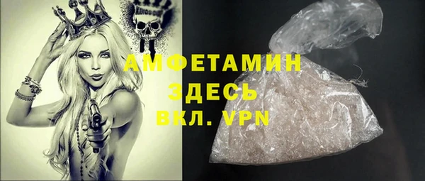 прущие крисы Вяземский