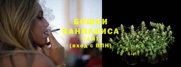 гашик Вязьма