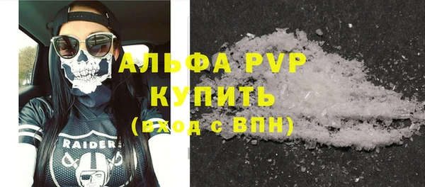 гашик Вязьма