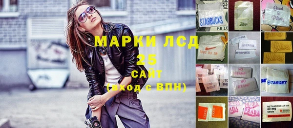 гашик Вязьма