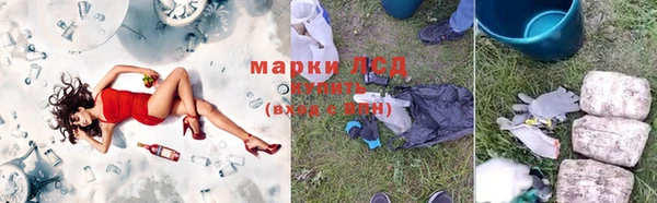 гашик Вязьма