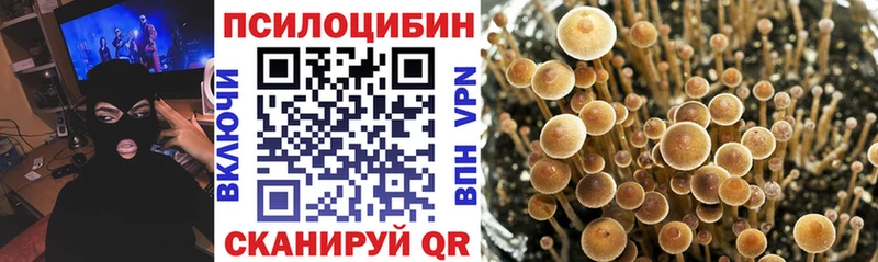 Галлюциногенные грибы Psilocybine cubensis  Гусь-Хрустальный 
